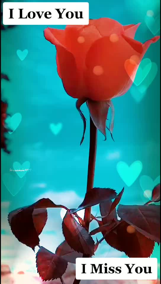 @@mr-saroj-m143