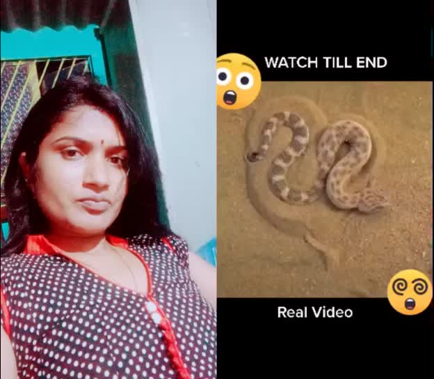 @vismitha jeevan