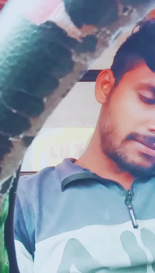 @dboss fan