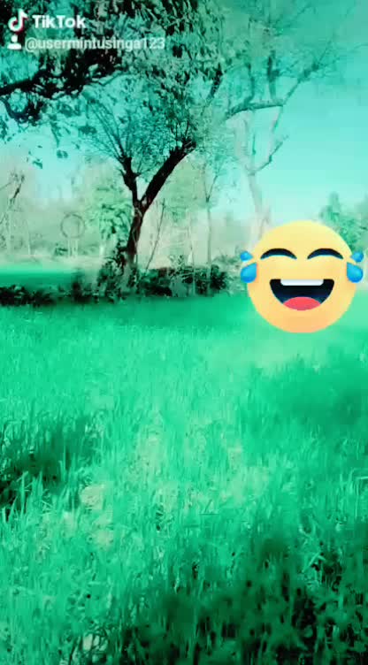 @Mintu Singh✔️✔️