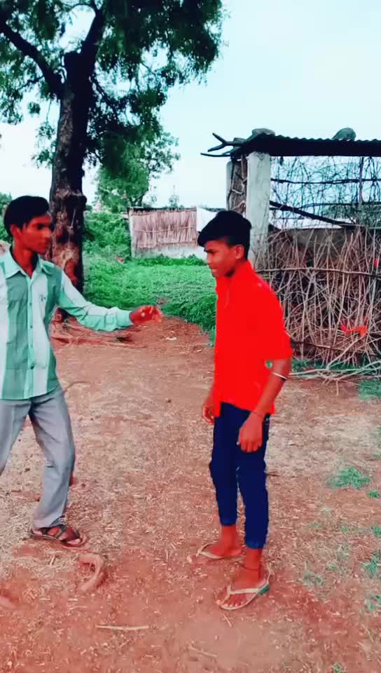 @banjara tigar