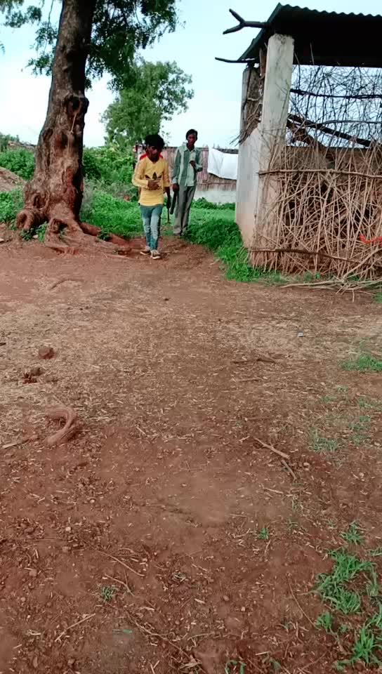 @banjara tigar