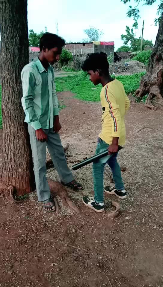 @banjara tigar