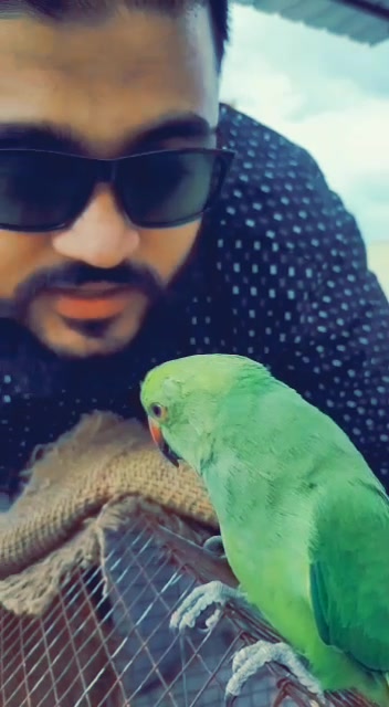 @Mohd Murtuza Ali