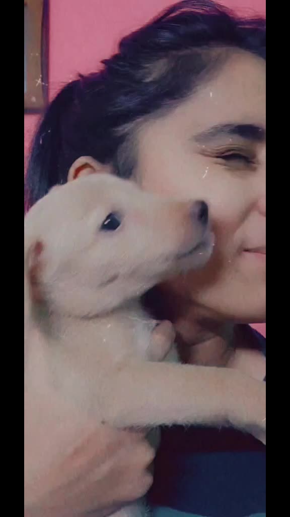 @singhsahiba98🥀