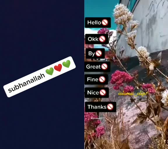 @_._husnain_.___