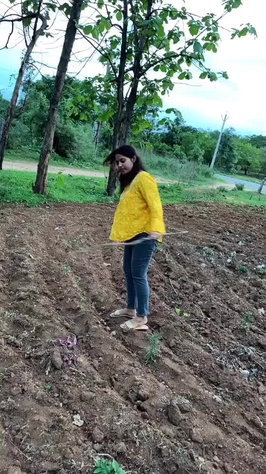 @Meghana Bachewal