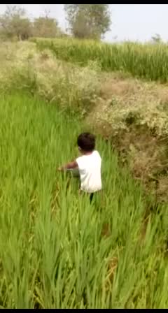 @nithvika