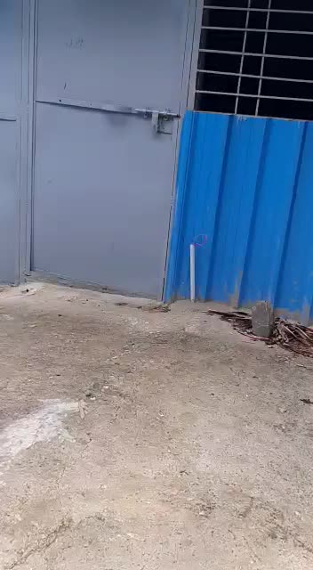 @suraj__8600