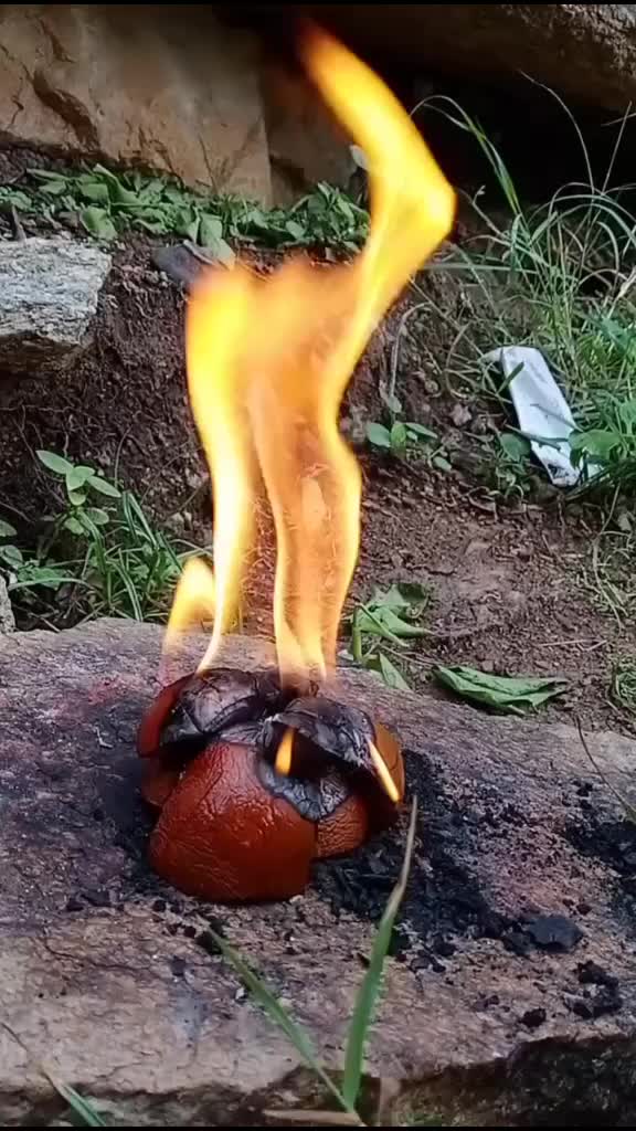 @⚡GEHLOT.TEAM(R.J.24)