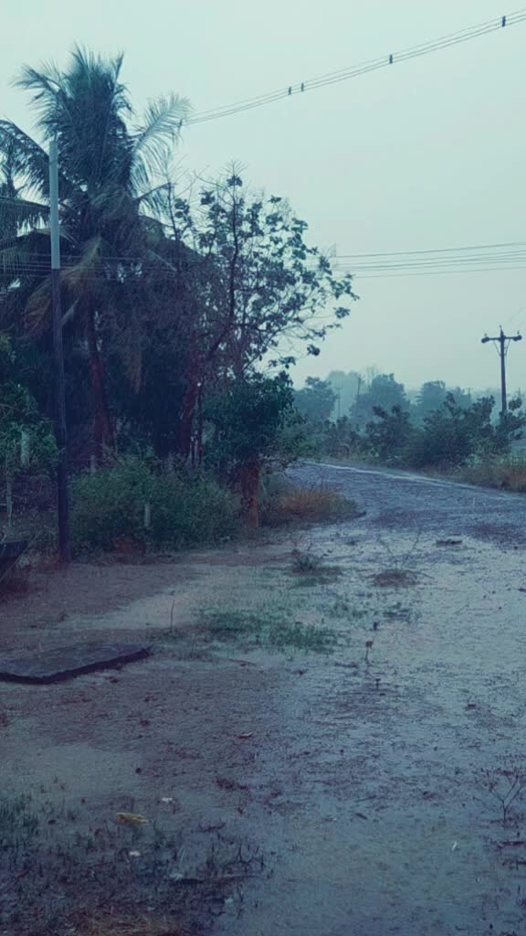 @Charu Mathi