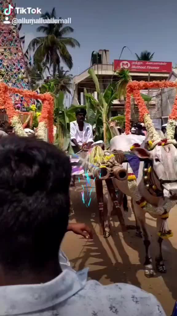 @Allumallu Allumallu