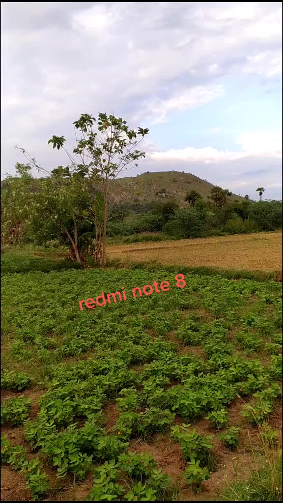@user75176678123