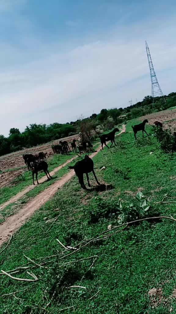 @Raju kuruma