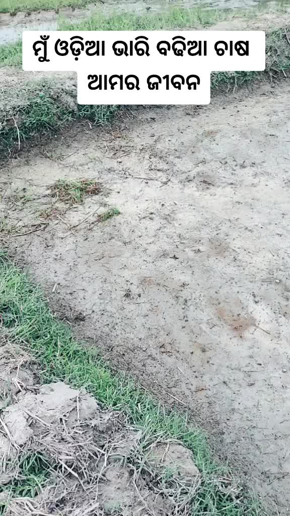 @durgaprasad123