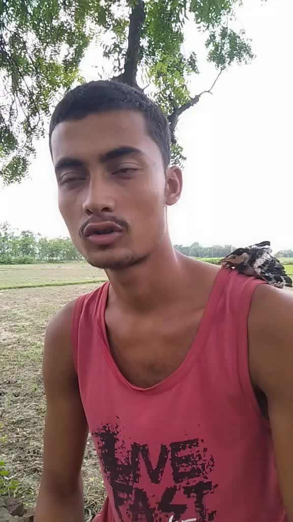 @Tik Toker