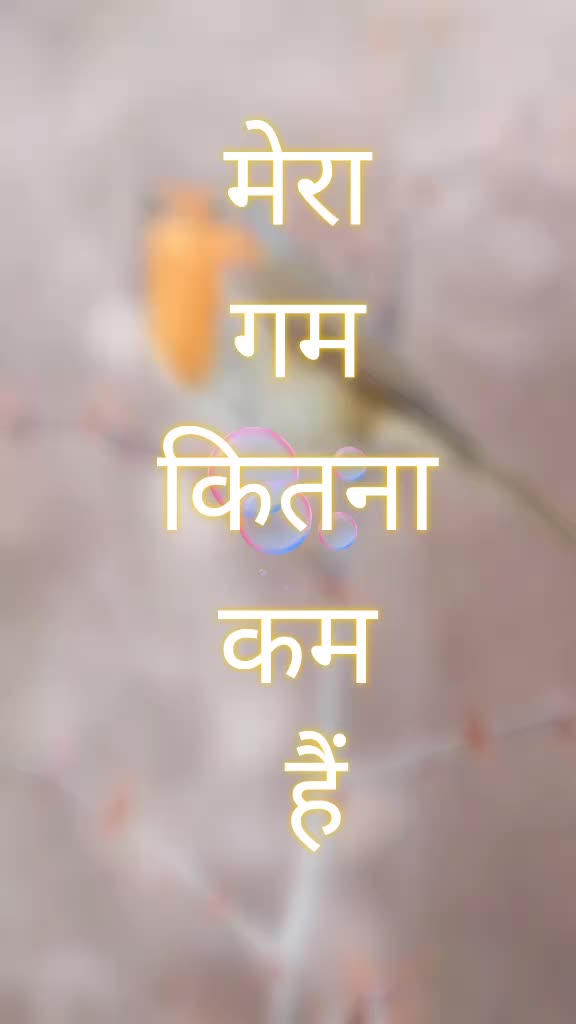 @D KUMAR