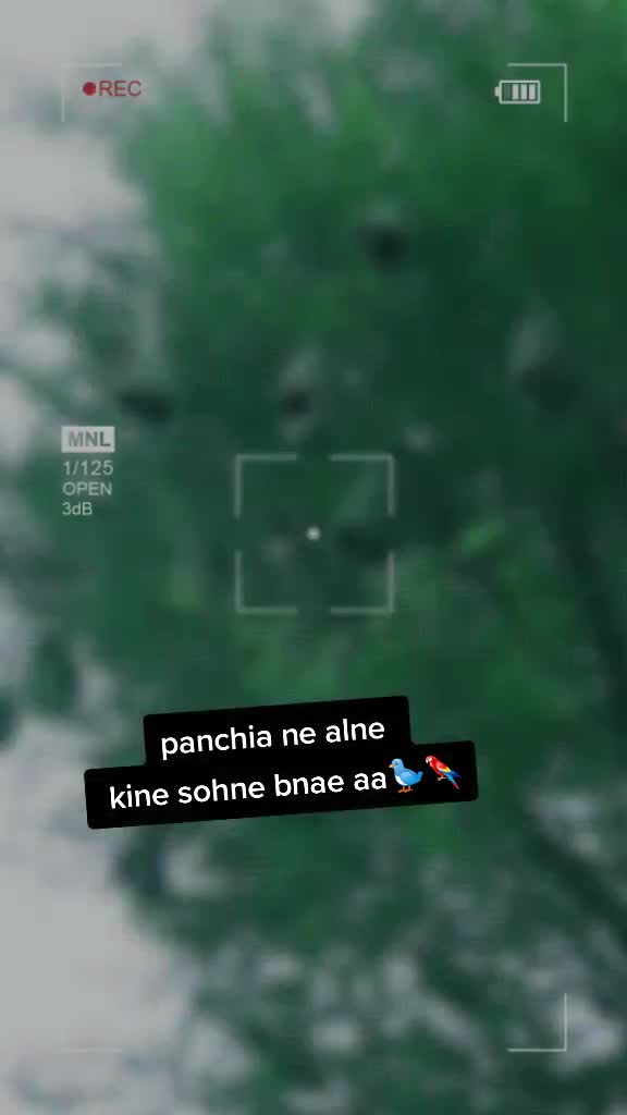 @parminder3713