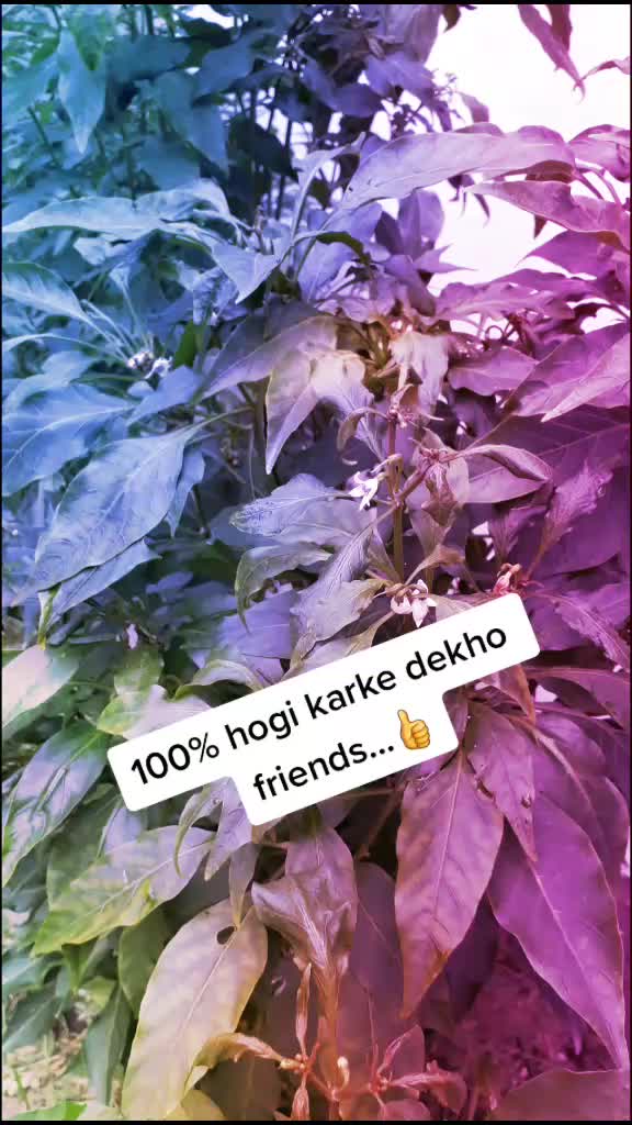 @Sona