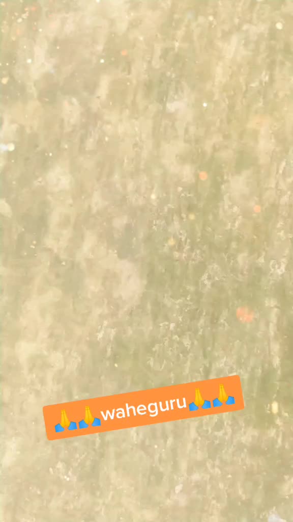 @nirbhay_bhullar