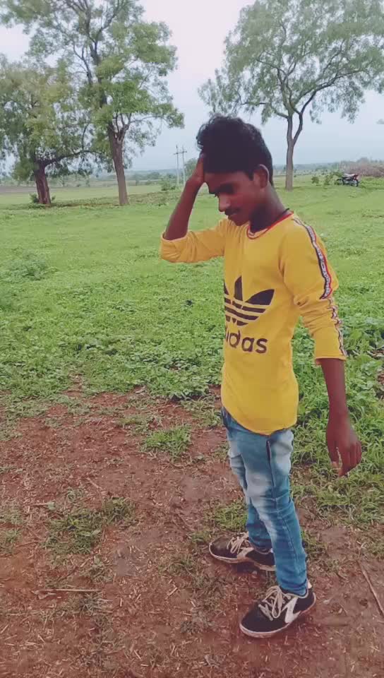@banjara tigar