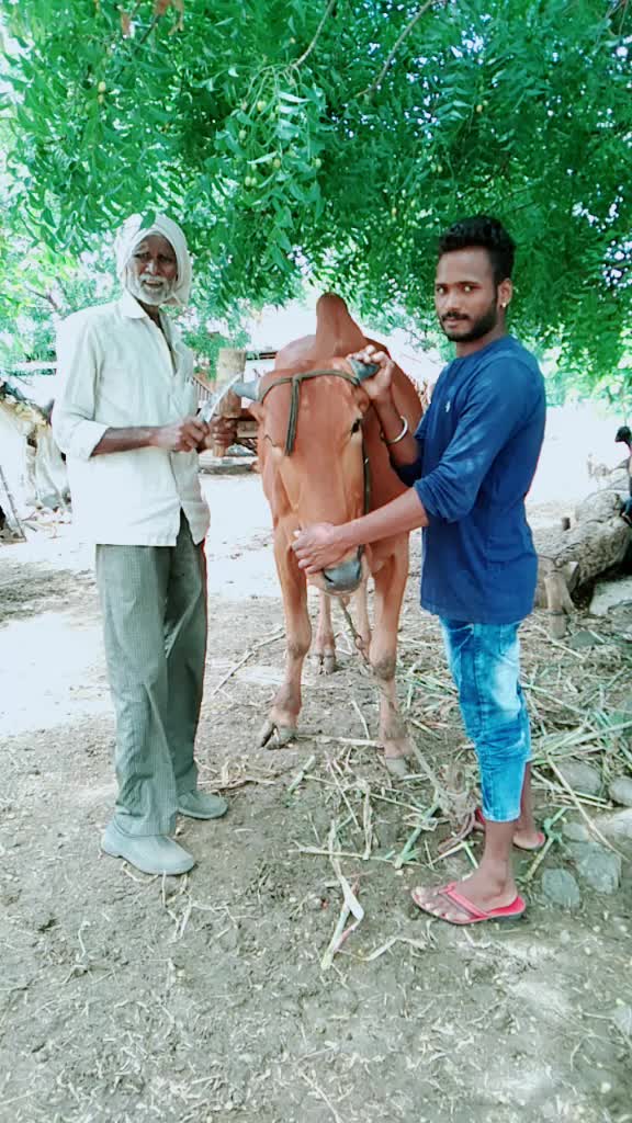 @भागवत आढाव