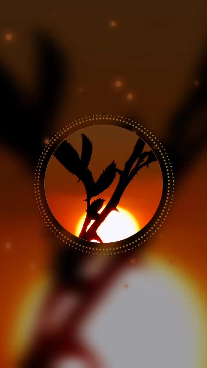 @🎧៣៩ɭ០ᖱƴ &cent;០Ʀ⩎៩Ʀ🎧