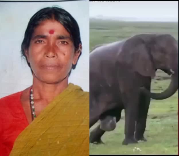 @user56755181153