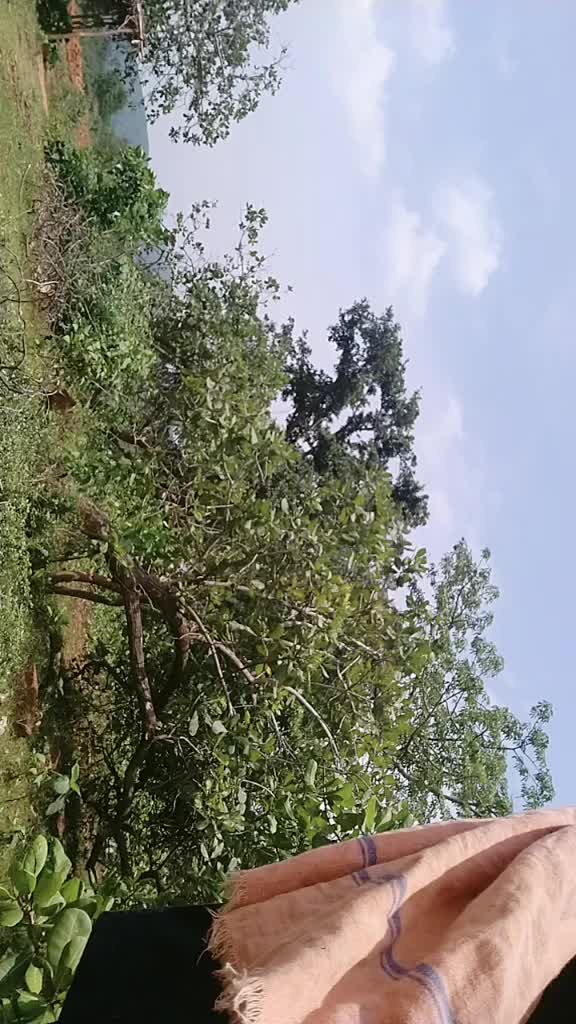 @Ashok Pradhan