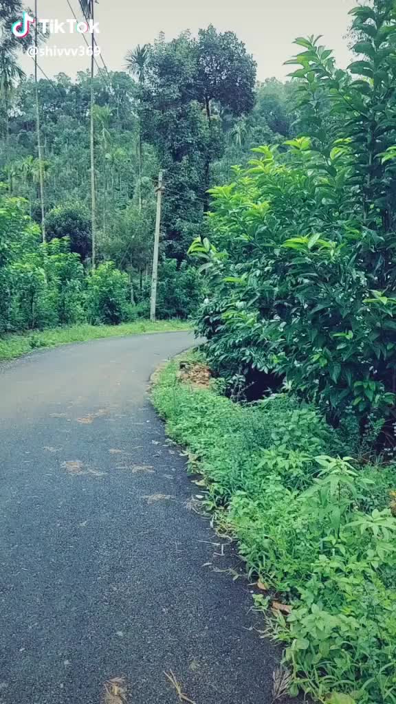 @Shiva Kumar