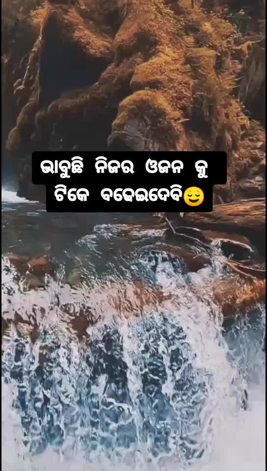 @&deg;&bull;~Talkactive~&bull;&deg;