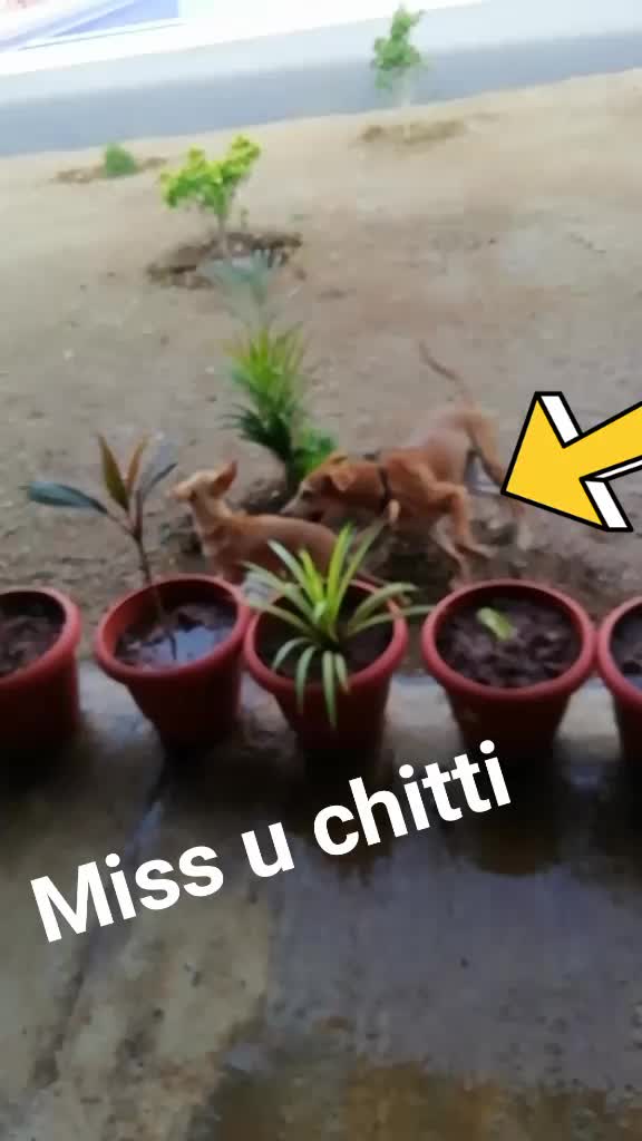 @krishnaswty3143