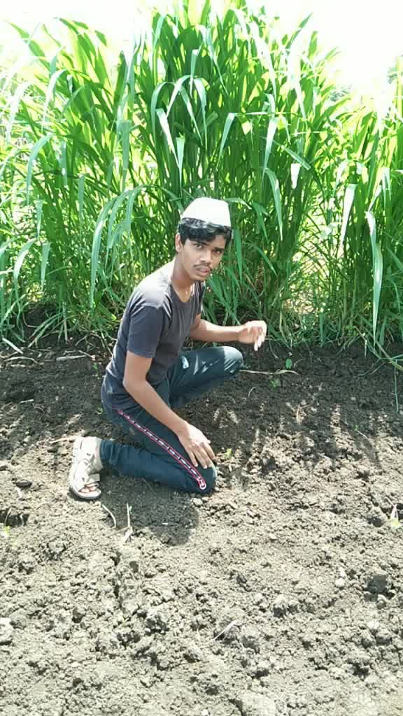 @सातारकर 007