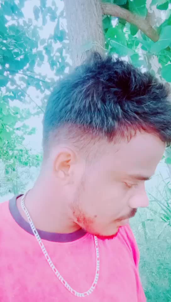 @anil royal chamar