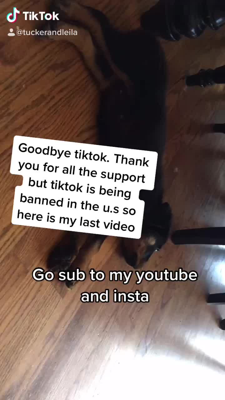 @Tuckerpuppy