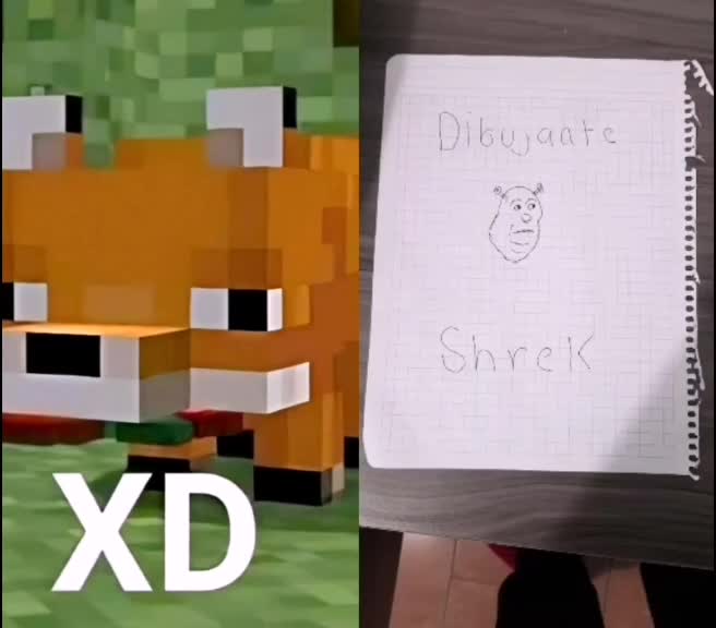 @Zorrito xd 🦊