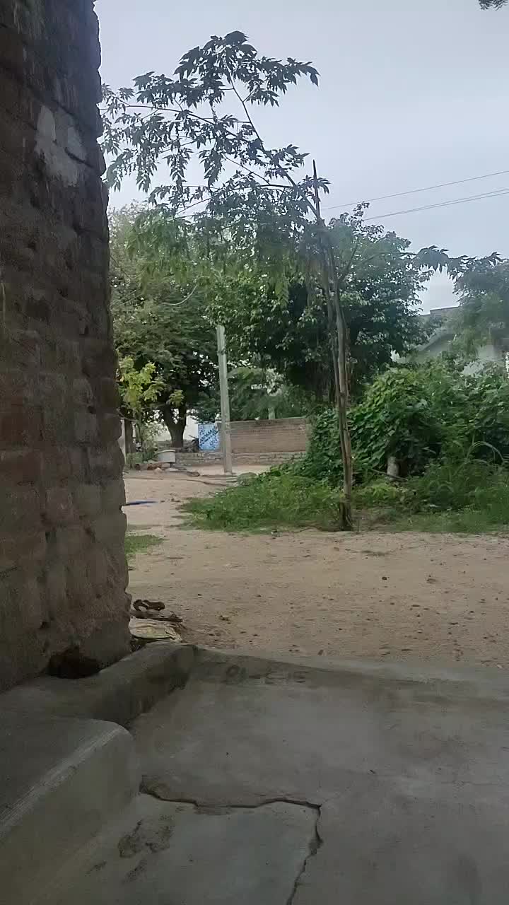 @Tik Toker