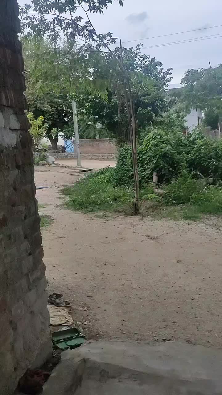 @Tik Toker
