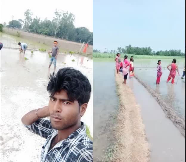 @जाटव राजा रॉयल