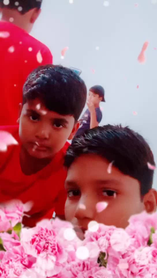 @user81505742530