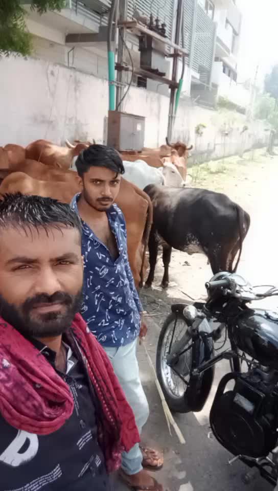 @જયમરછૃ મા👑  H