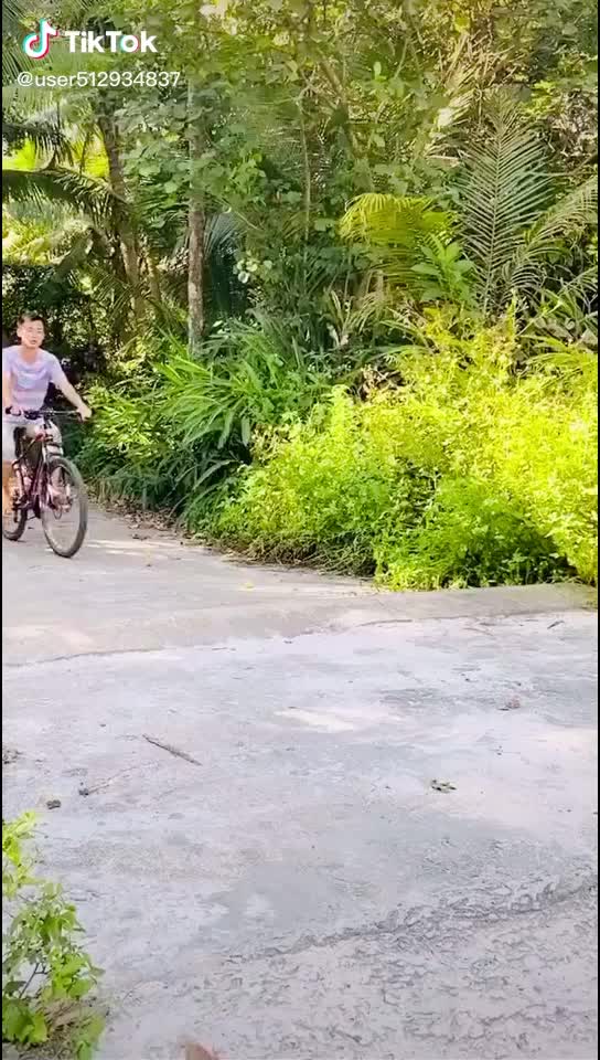 @user281332