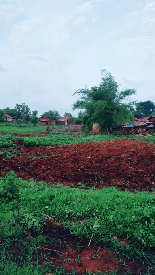 @vivekthorad