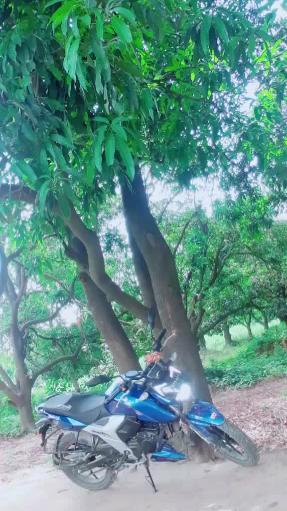 @Adv Neeraj Rawat Njr