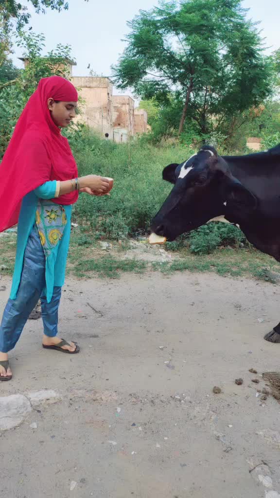 @Nadeem K bchan
