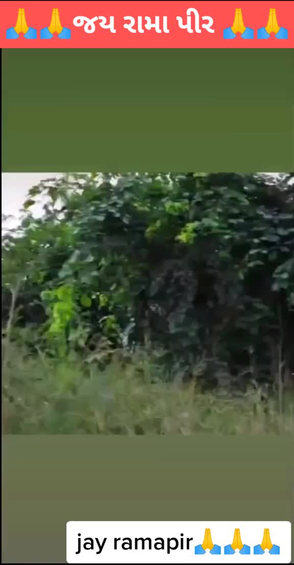 @raj_dudhagara_008