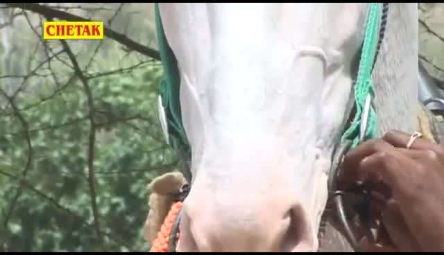 @तह_अध्यक्ष_पीसांगन