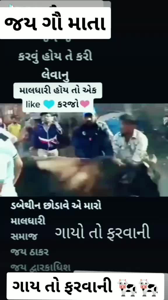 @ગાય નું ગોવાડ