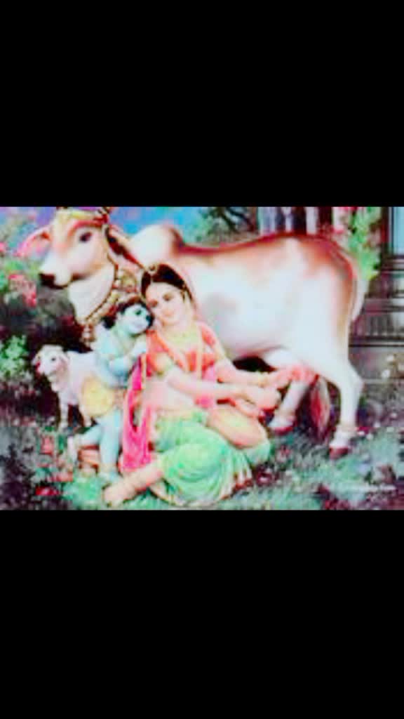 @Shivam Patel