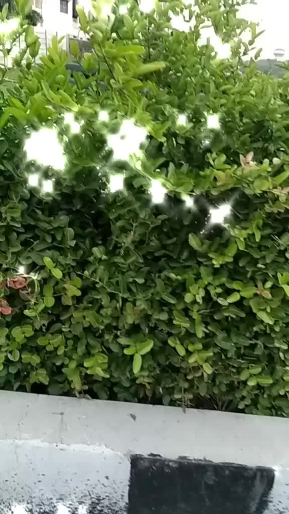 @mr.noty. ki jaan